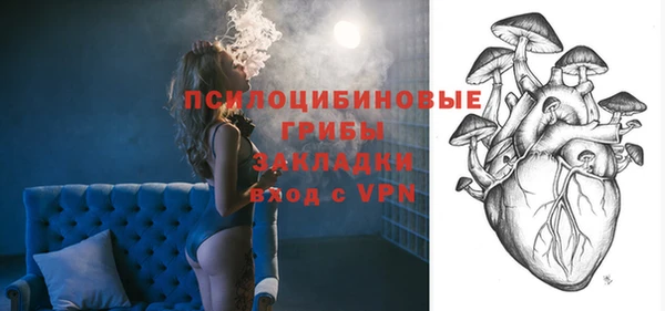 прущая мука Богородск