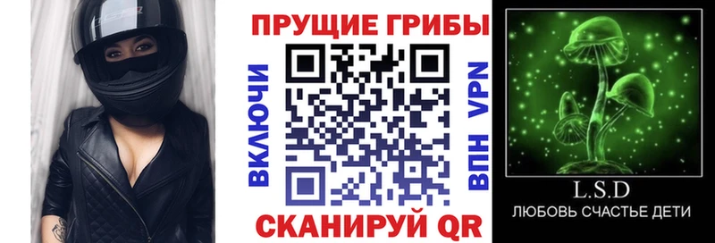 Псилоцибиновые грибы прущие грибы  Севск 
