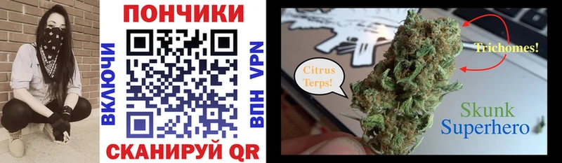 Шишки марихуана сатива  блэк спрут сайт  Севск 